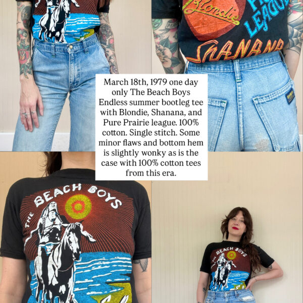 1979 The Beach Boys/Blondie